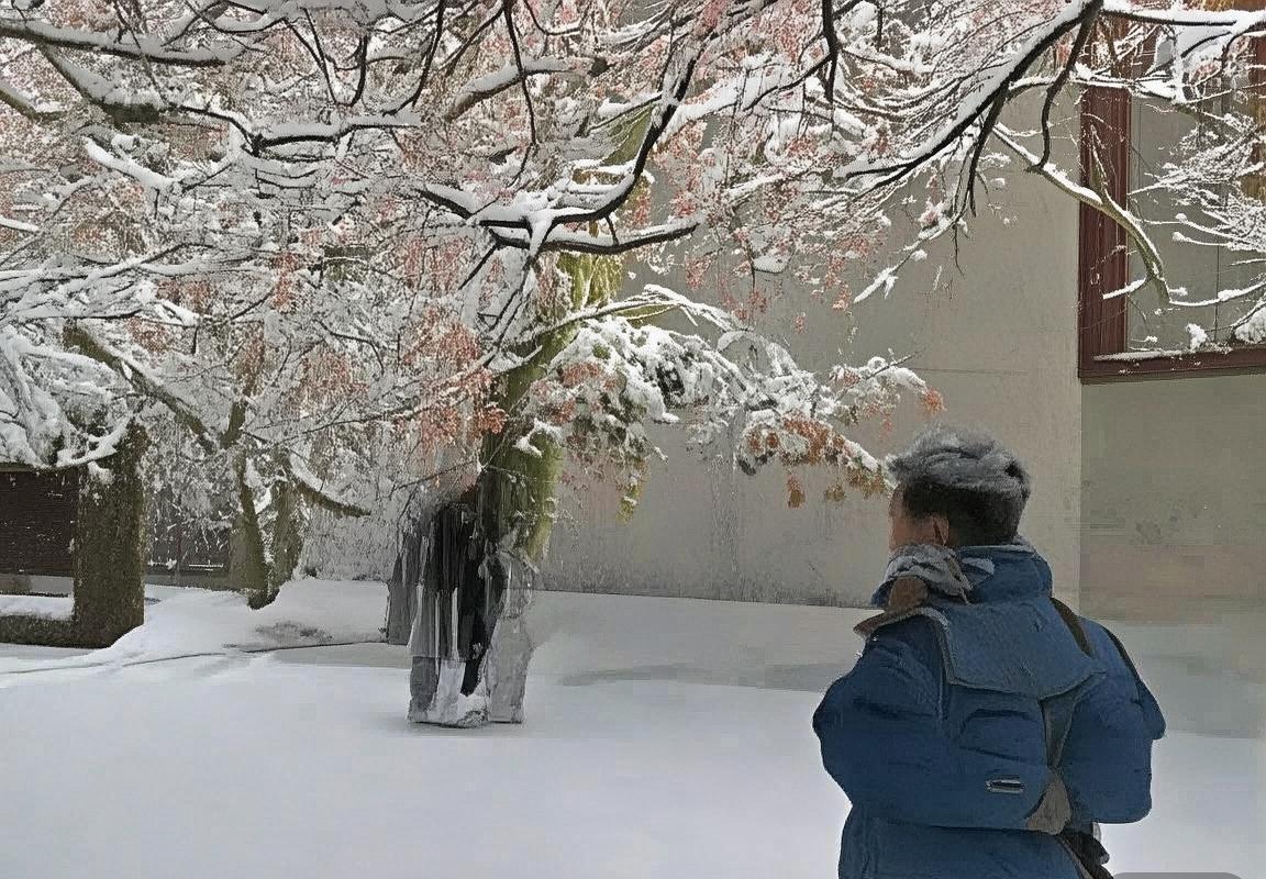 巴塞罗那VS维戈塞尔塔：传控对决反击，焦点之战前瞻(图1)